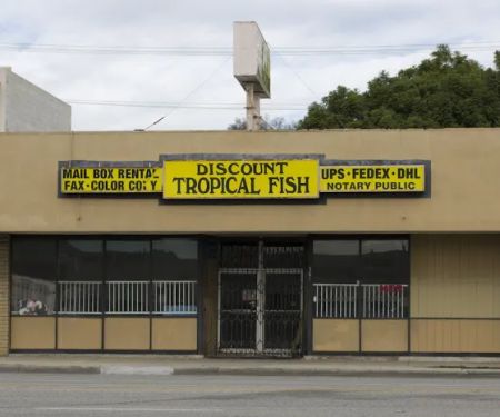 Discount Tropical Fish & Pond