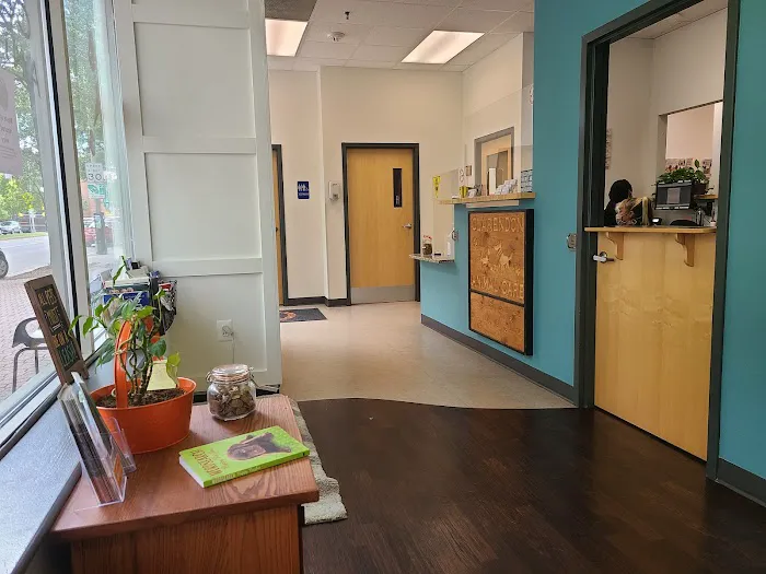 Clarendon Animal Care Picture 8