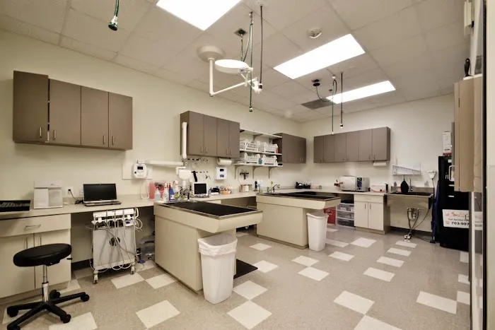 Clarendon Animal Care Picture 1