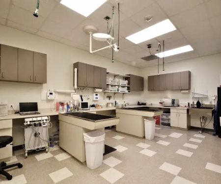 Clarendon Animal Care