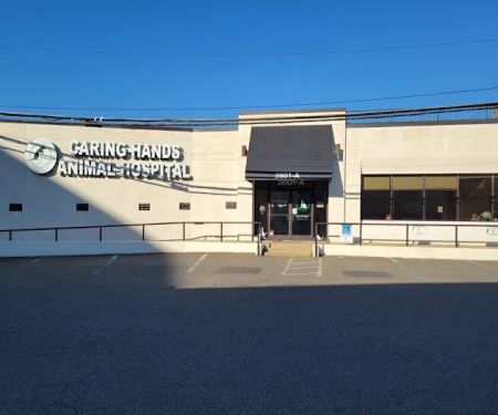 Caring Hands Animal Hospital - Clarendon