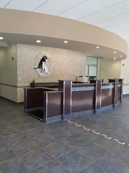 Caring Hands Animal Hospital - Clarendon Picture 9