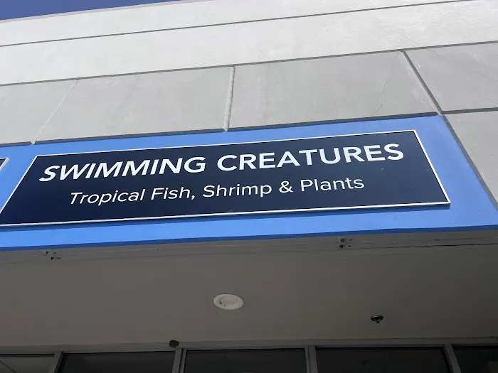 Swimming Creatures Tropical Pet Store Picture 3