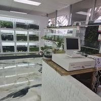 Swimming Creatures Tropical Pet Store ico