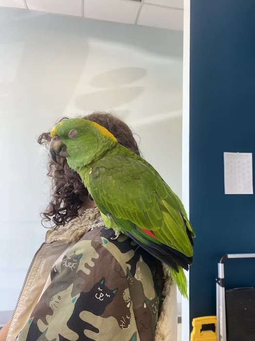 Fairfax Animal Hospital Picture 8