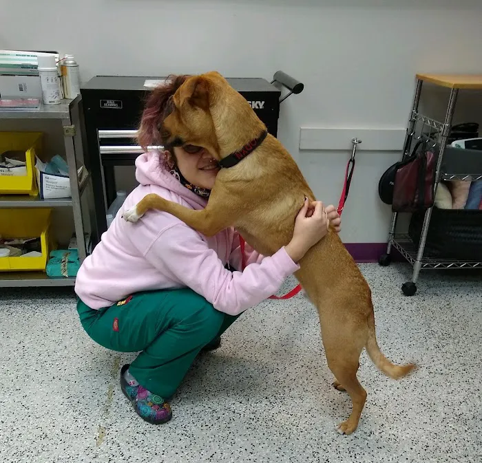 Fairfax Animal Hospital Picture 9