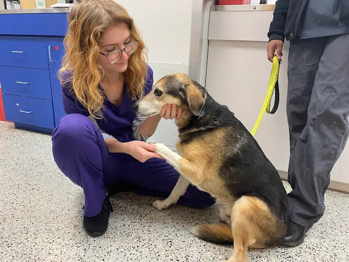 Fairfax Animal Hospital Picture 1