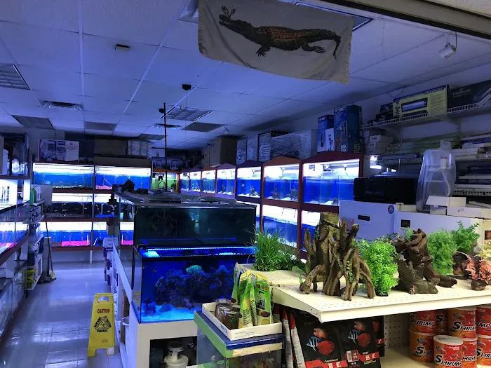 Happy Fish Pets Picture 5