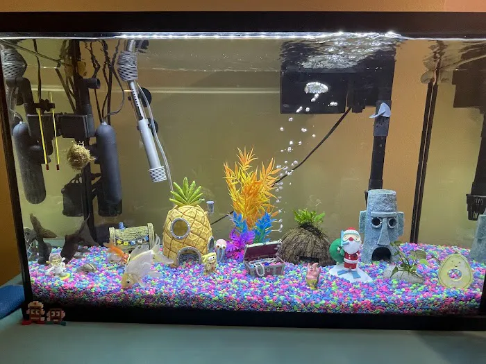 Happy Fish Pets Picture 10