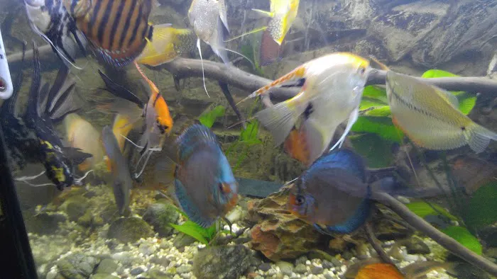 West Lake Aquarium Picture 8