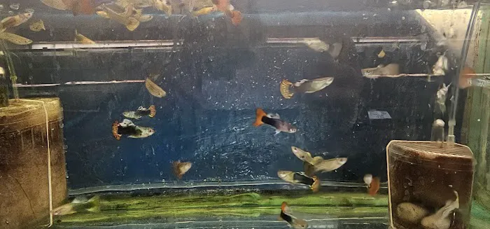 West Lake Aquarium Picture 9
