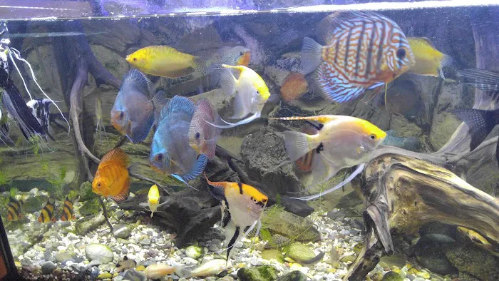 West Lake Aquarium Picture 5