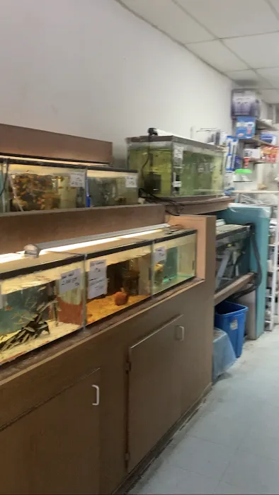 West Lake Aquarium Picture 7