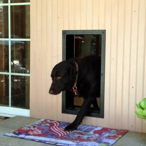 Solo Pet Doors Picture 2