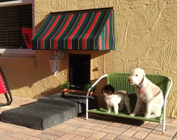 Solo Pet Doors Picture 1