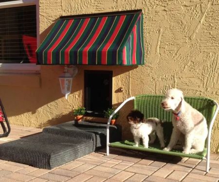 Solo Pet Doors