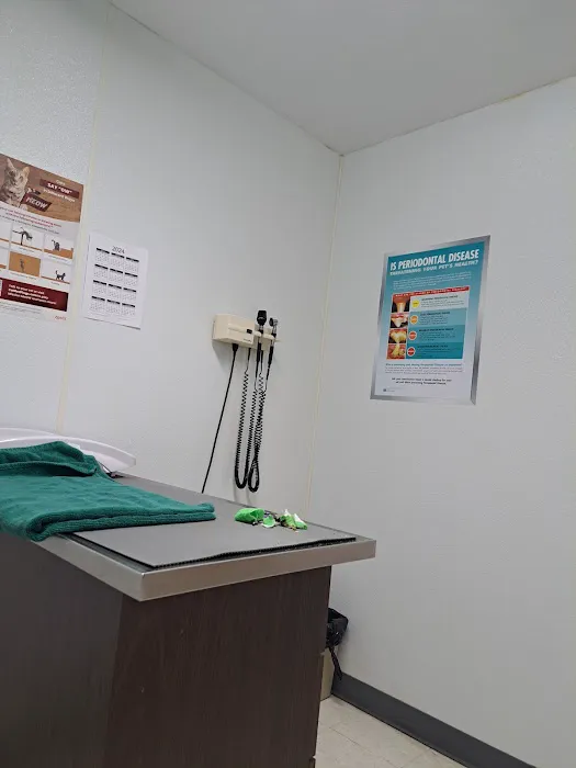 Town and Country Animal Hospital Picture 3