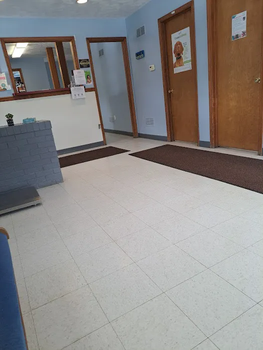 Town and Country Animal Hospital Picture 5