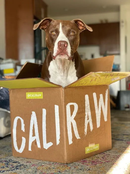 Cali Raw Dog Food Picture 7