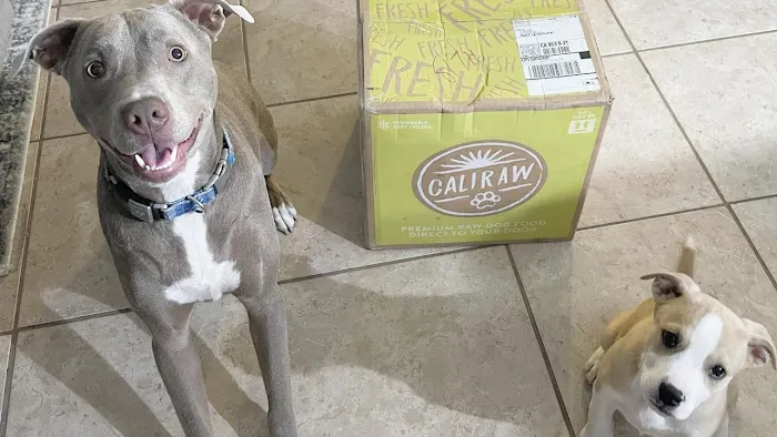 Cali Raw Dog Food Picture 8