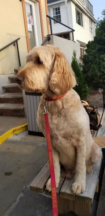 Westchester Animal Hospital Picture 2