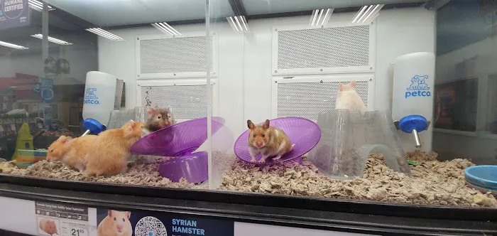 Petco Picture 3