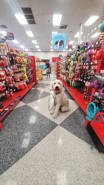 Petco Picture 4