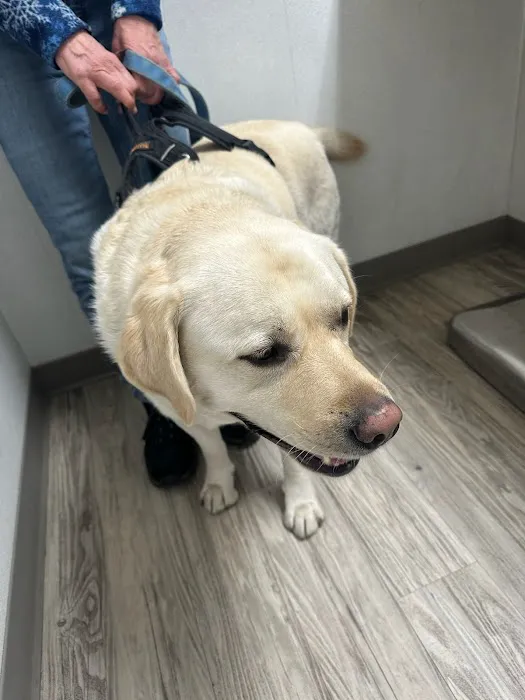 Manor Veterinary Clinic Picture 1
