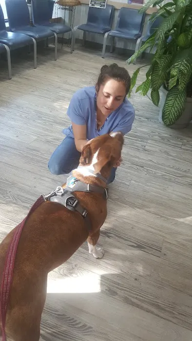 Manor Veterinary Clinic Picture 4