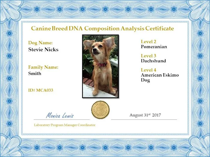 My Canines Ancestry DNA Lab Services Picture 3