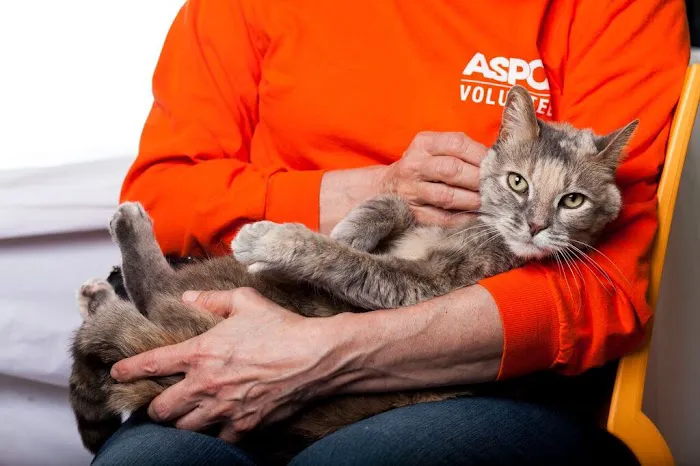 ASPCA Animal Hospital Picture 1