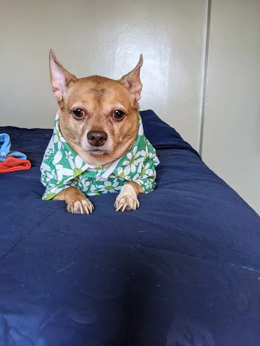 ASPCA Animal Hospital Picture 2