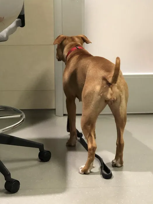 ASPCA Animal Hospital Picture 3