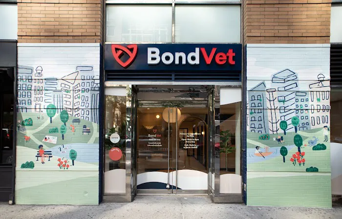 Bond Vet - Upper East Side at 86th Street Picture 10