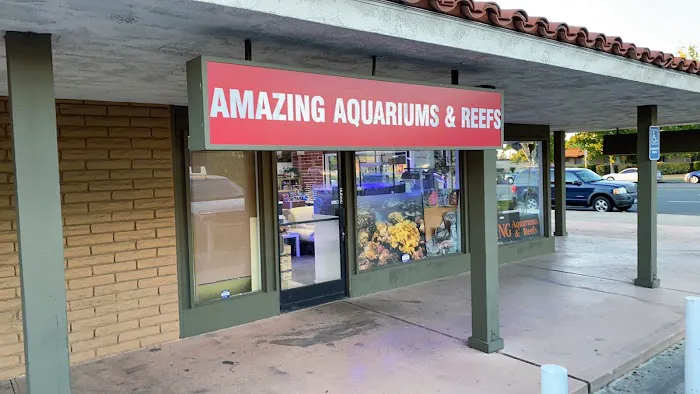 Amazing Aquariums & Reefs Picture 3