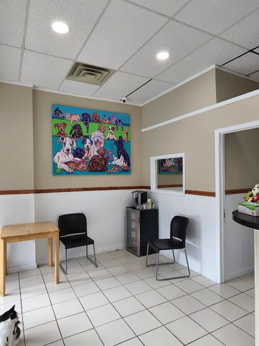 Modern Vet Care Picture 5