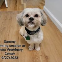 Bronx Veterinary Center of Eastchester Road ico