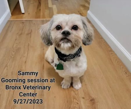 Bronx Veterinary Center of Eastchester Road