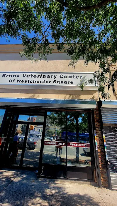 Bronx Veterinary Center of Eastchester Road Picture 4
