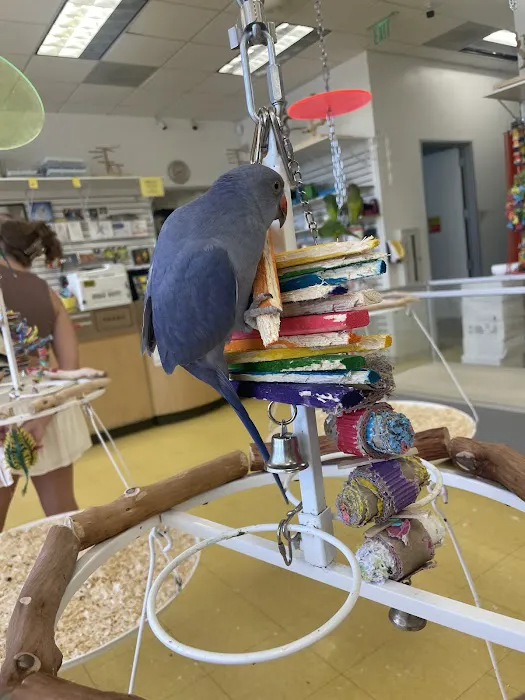 Omars Exotic Birds Picture 2