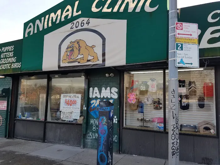 ANIMAL CLINIC Picture 1
