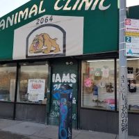 ANIMAL CLINIC ico