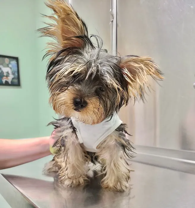 Middletown Animal Clinic Picture 4