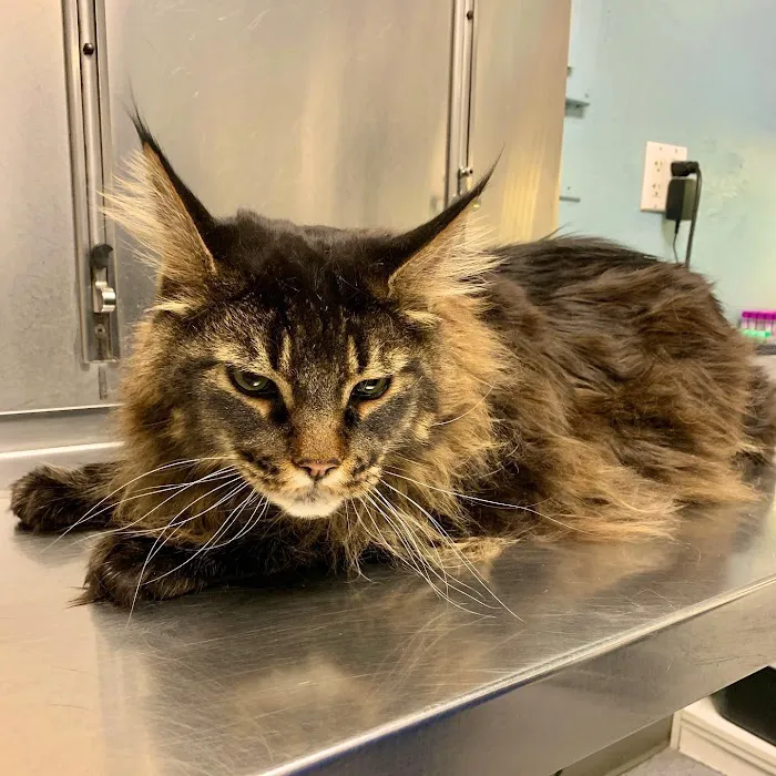 Middletown Animal Clinic Picture 6