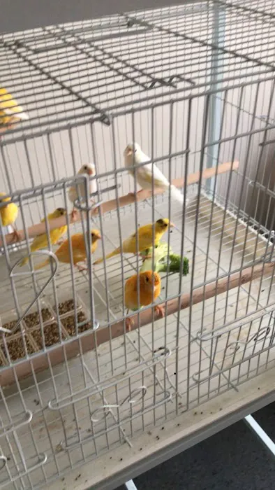King Pet Shop Picture 9