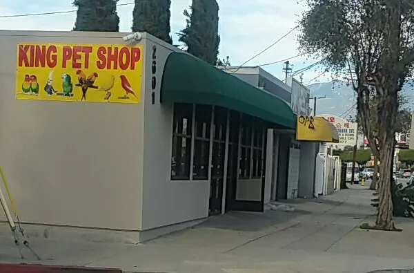 King Pet Shop Picture 1