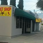 King Pet Shop