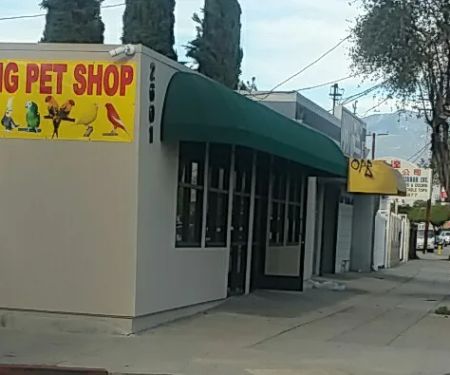 King Pet Shop