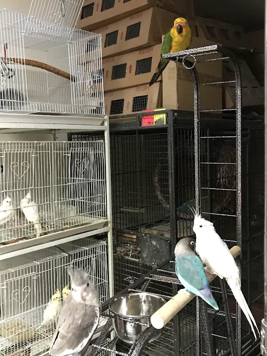 King Pet Shop Picture 4