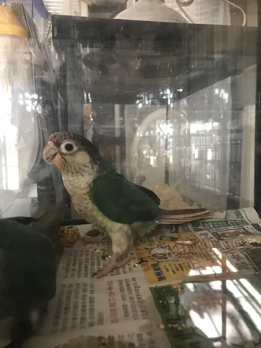 King Pet Shop Picture 2